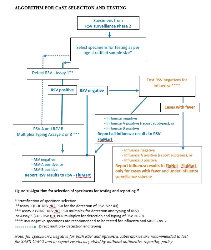 Algorithm_case_selection_testing_RSV