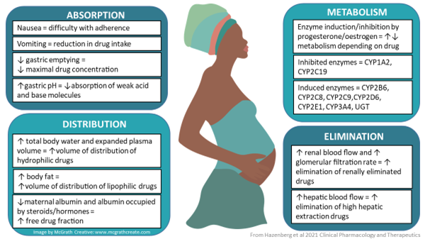Figure showing the changes in absorption, distribution, metabolism/biotransformation and excretion  during pregnancy