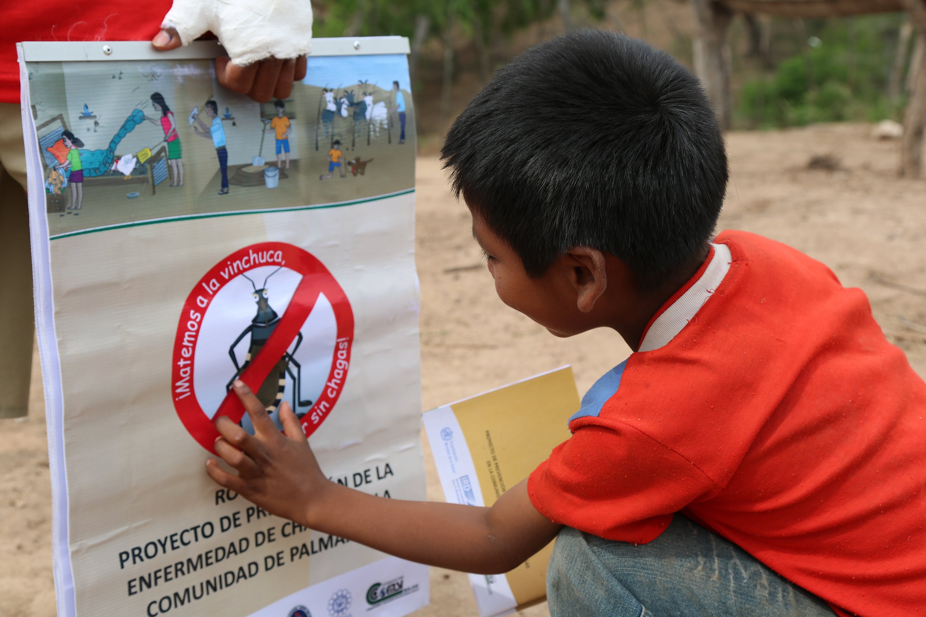 Boy looking at wall paper for Chagas disease